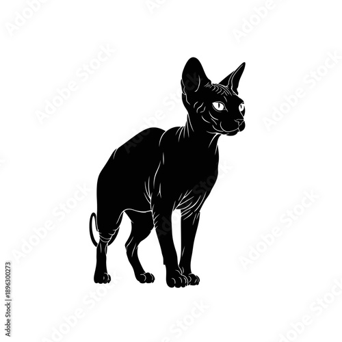 Hairless Sphynx Cat Silhouette Vector Illustration Isolated on White Background for Pet Design