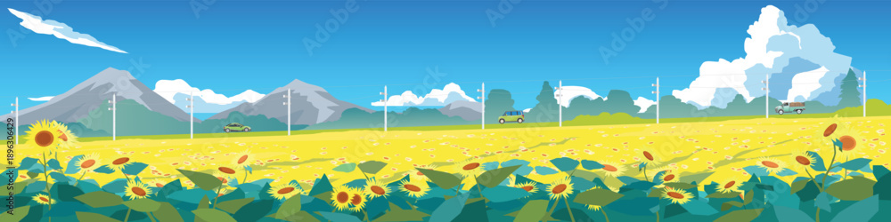 Fototapeta premium Landscape flat Illustration of Sunflower Field Landscape with Mountains. Cars on Rural Road with electric pole side of road. and Blue Sky with Clouds. Summer Countryside Scenery Panorama.