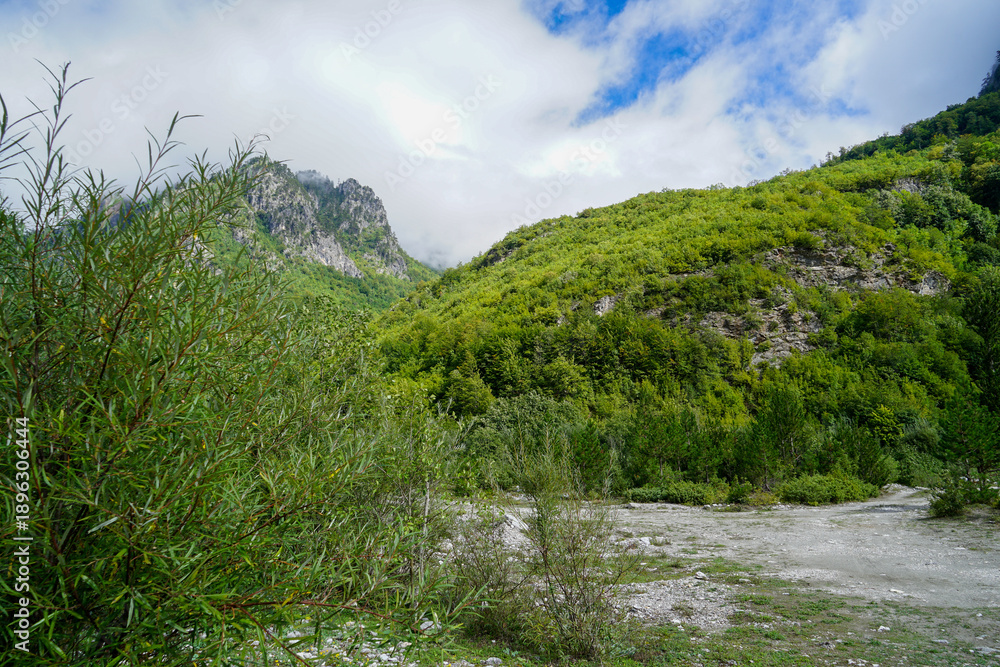 Obraz premium Untouched Nature in Valbona National Park with Clear Alpine River