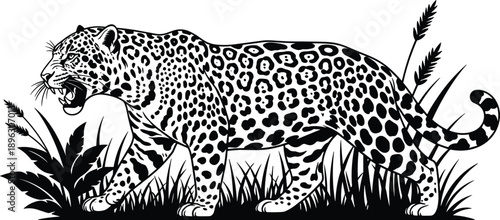 Jaguar walking through jungle foliage, black and white illustration, open mouth pose, wild animal silhouette, nature habitat concept, tropical vegetation scene