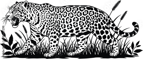 Leopard silhouette in tall grass, wild animal illustration, roaring pose, jungle predator, nature scene, black and white vector, wildlife concept