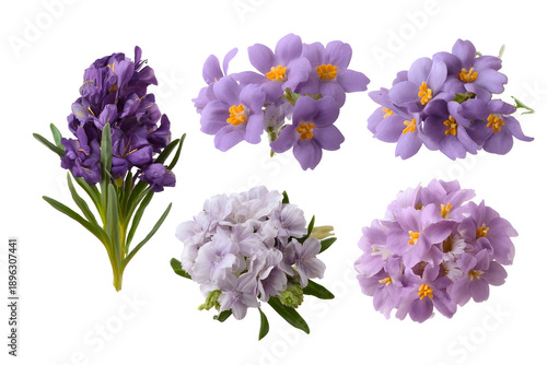 Set of small posy flower bunches isolated on white background