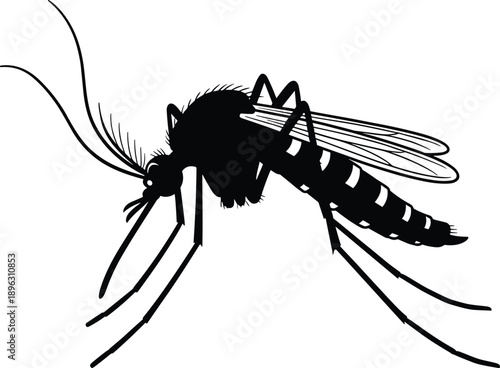 PrintMosquito silhouette vector illustration, insect anatomy, black and white design, disease carrier icon, entomology graphic, nature symbol, editable clipart, pest control