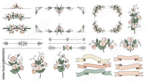 Large set of floral design elements including sweet pea flowers borders ribbons and dividers for personalized creative projects.