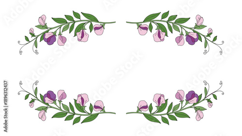 Elegant horizontal floral borders featuring purple sweet pea flowers and green leaves, ideal for stationery and card decoration.