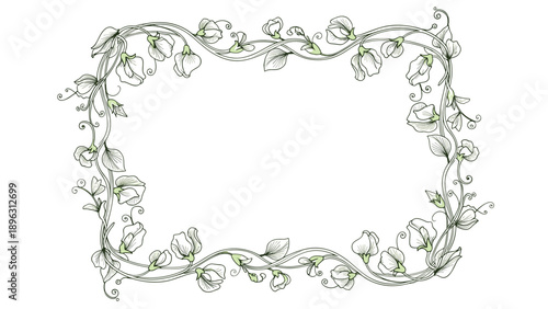 Elegant rectangular frame made of delicate green vines and small white flowers with curved artistic flourishes for border designs.