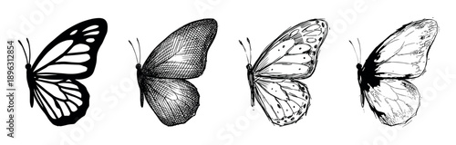 Set of four black butterfly illustrations showing different artistic styles from simple silhouette and detailed line art to engraving and rough ink sketch for design elements