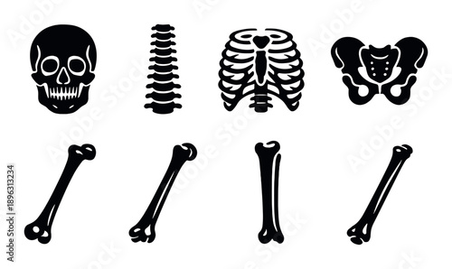 Stylized black skeleton parts displayed on dark background