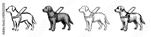 Four guide dog illustrations in various hand-drawn styles showing a Labrador Retriever in a harness, a black and white collection of sketches for disability assistance concepts