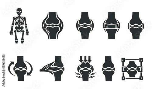 Anatomy and joint function diagram with human skeleton and knee illustrations
