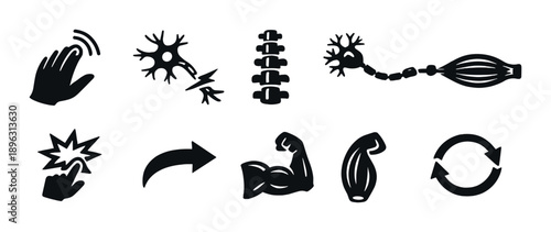Icons illustrating nervous system and muscle function on a dark background