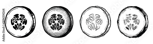 Four hand-drawn cucumber slices in a row, showcasing different artistic sketch styles from clean outlines to detailed cross-hatching in a black and white graphic illustration set