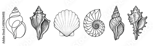 Six different black and white seashells illustrated in a variety of graphic styles like engraving, one-line art, dotwork, and geometric shapes arranged in a horizontal row
