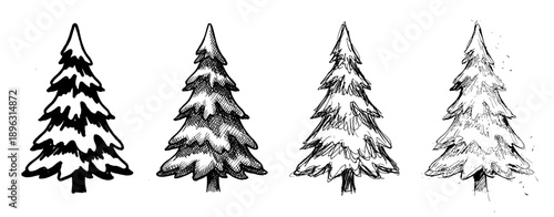 Four hand-drawn evergreen fir tree illustrations in a sketchy doodle style showing different shading techniques like cross-hatching and simple line art