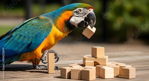 Wallpaper Mural Colorful parrot playing with wooden blocks on a blurred background Torontodigital.ca