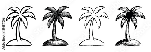 Four hand-drawn palm trees in a sketchy style, a collection of monochrome tropical plant illustrations with different line art and crosshatching for a summer vacation theme