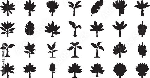 Collection of various plant leaf silhouettes isolated on transparent background