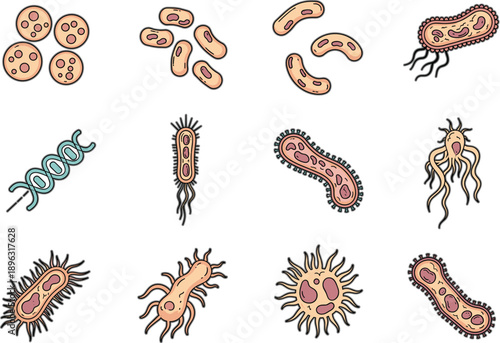 Colorful Bacteria and Microorganism Vector Illustration Set Featuring Various Microbe Shapes and Cell Forms for Biology Science Education and Medical Design