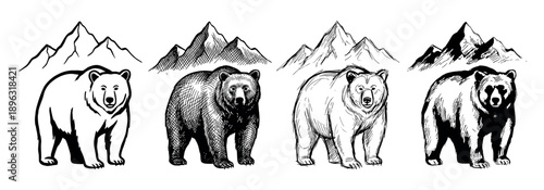 Set of four hand-drawn bear and mountain illustrations in various sketch styles, including outline, crosshatching, and high contrast for a rustic wildlife and nature concept