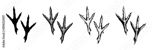 Set of black bird footprints showing different artistic styles, from a solid silhouette to hand-drawn sketch and cross-hatching illustration for a wildlife or nature concept