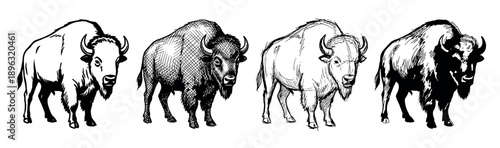 Four black and white hand-drawn bison illustrations showcasing different artistic styles, including bold line art, cross-hatching, loose sketch, and high-contrast woodcut