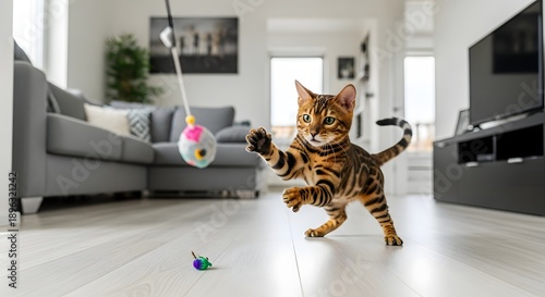 Wallpaper Mural Playful bengal cat in mid action reaching for a toy indoors Torontodigital.ca
