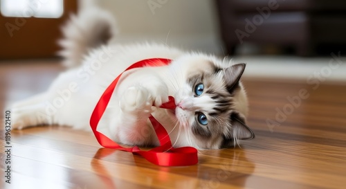 Wallpaper Mural Playful cat with blue eyes and red ribbon on wooden floor Torontodigital.ca