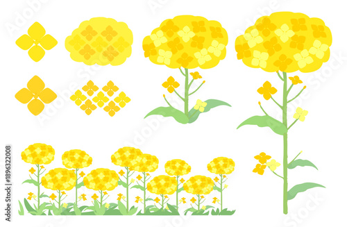 菜の花のかわいいイラストセット
