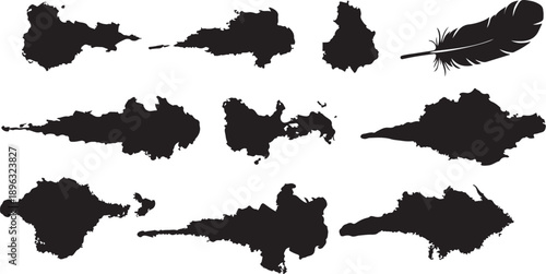 Collection of black ink splatters and feather on white