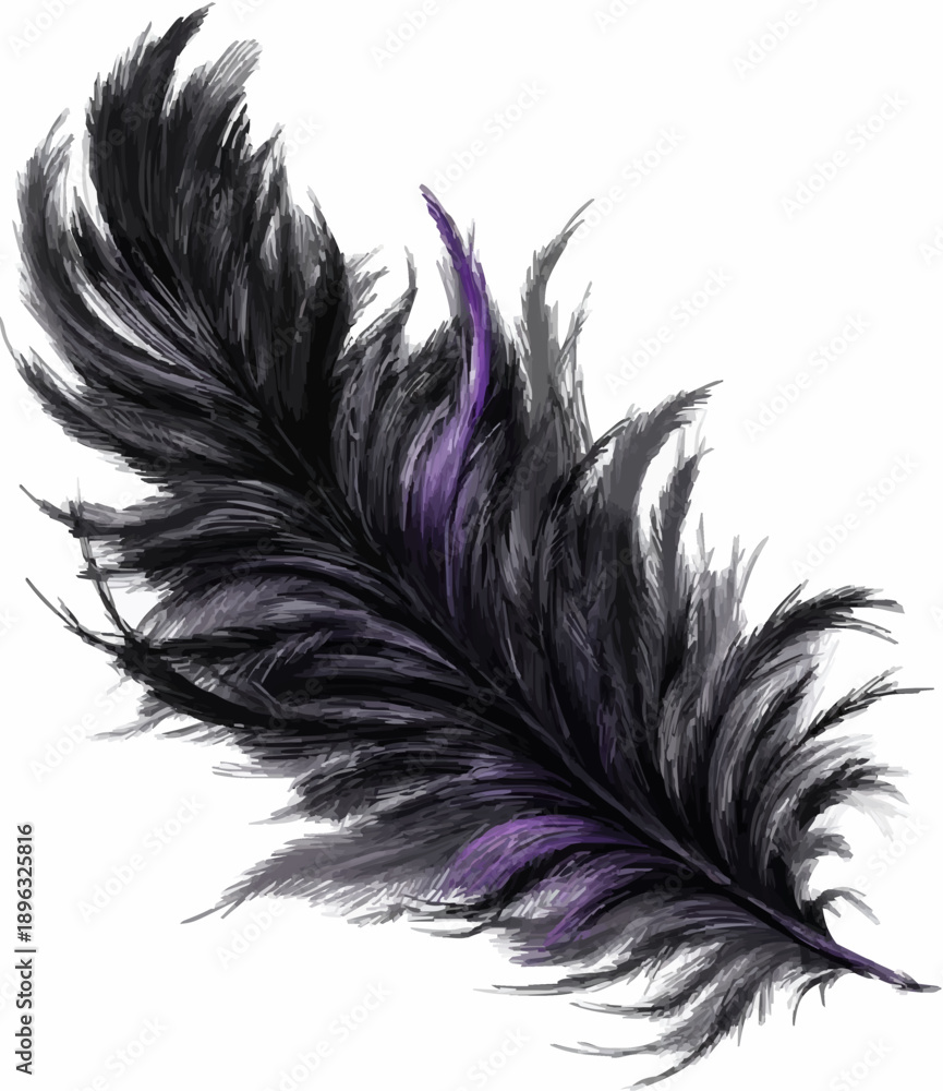 Obraz premium Elegant Ostrich Feather