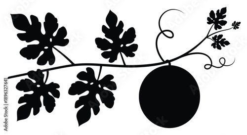 Black silhouette of a vine with leaves and a round fruit