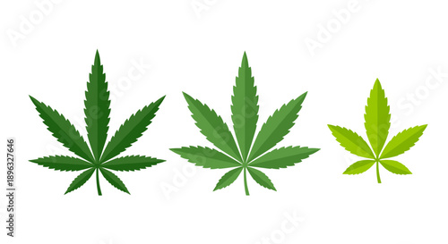 Vector illustration of a marijuana leaf in different shades of green, symbolizing growth and nature