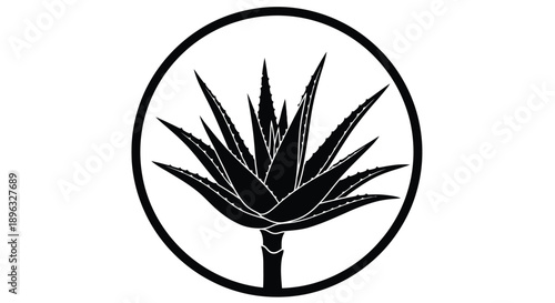 Black and white illustration of an aloe vera plant within a circle