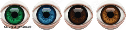 Human Eye Color Illustration Set Featuring Green, Blue, Brown, and Hazel Iris Variations, Vision Anatomy, Realistic Detail, and Visual Identity Concepts.