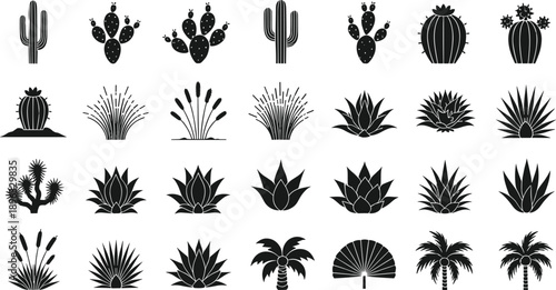 Tropical and desert plant silhouette set with palm trees cactus agave and swamp grass elements for summer landscape and botanical vector graphics