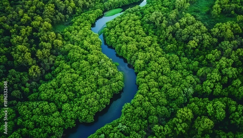 Lush greenery surrounds a winding river, showcasing a vibrant ecosystem from an aerial perspective, highlighting nature's beauty and tranquility.