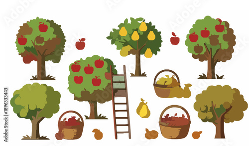 Orchard trees with ripe apples and pears vector illustration for agriculture and harvest concept