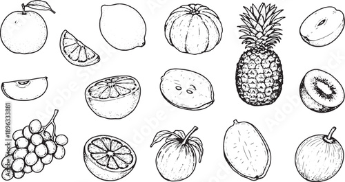 Hand drawn black and white of various fruits and slices apple slice lemon slice orange