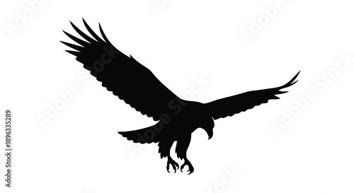 A striking silhouette of a majestic eagle in mid flight against white