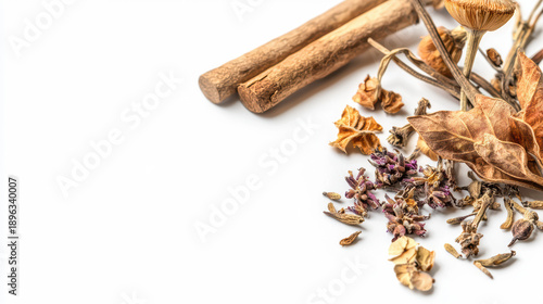 Wallpaper Mural Dried cinnamon sticks lay near lavender buds, dried leaves, and mushrooms arranged creatively on a clean white surface perfect for botanical backgrounds. Torontodigital.ca