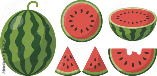 Watermelon summer fruit clipart set. Tropical fruit watermelon drawing in whole, slice and cut elements clip art collection vector illustration.