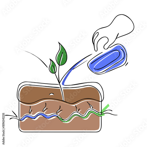 Hand watering a plant in soil with green sprouts emerging  