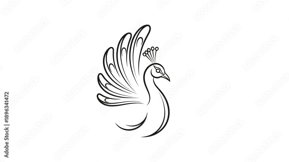 Obraz premium Simple Black and White Peacock Illustration.