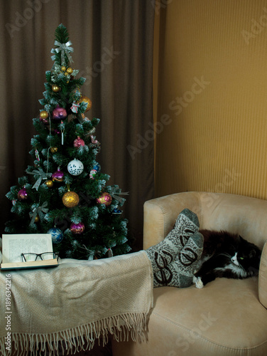 Two New Year's Solitudes