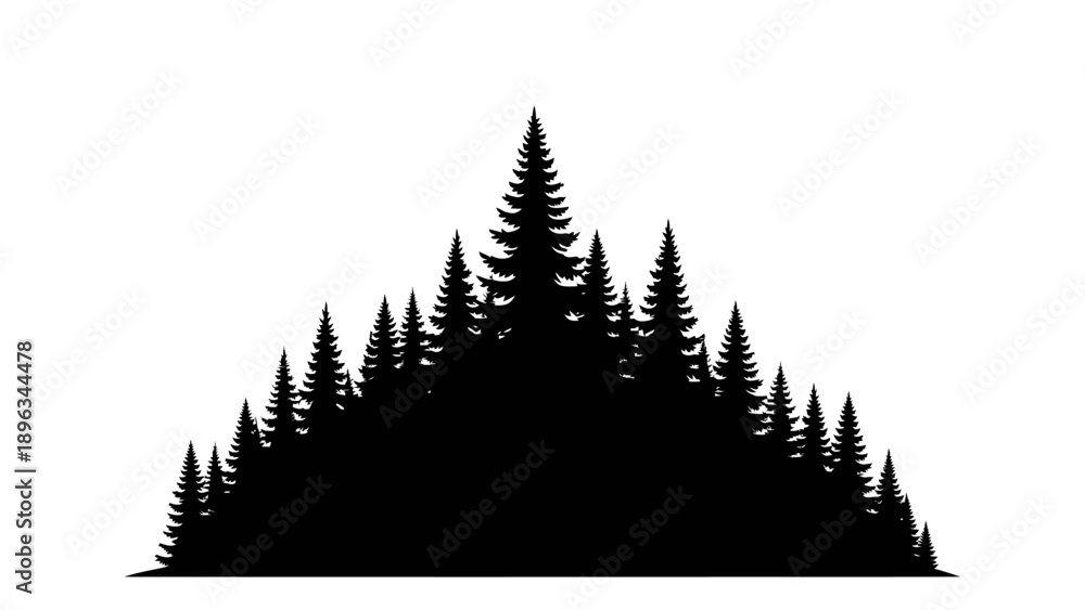 Obraz premium Silhouette of a Pine Forest.