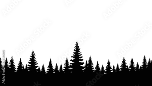 Silhouette of a pine tree forest.