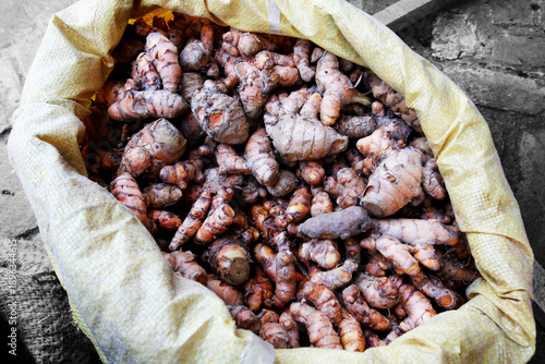 Canvas Print A full sack of Turmeric roots