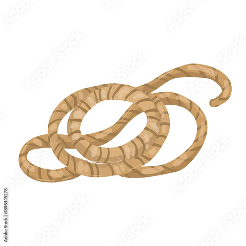 Nautical pirate rope, vector design element