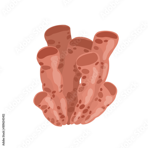 Red sea corals are ideal for creating and decorating designs with a sea pirate theme.