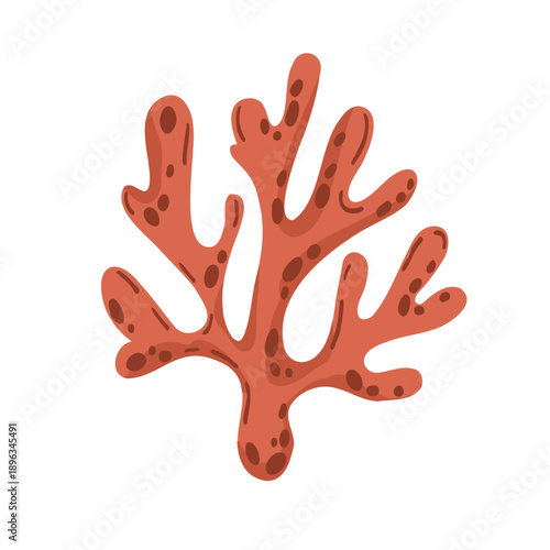 Red sea corals are ideal for creating and decorating designs with a sea pirate theme.